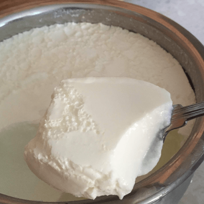 Homemade Plain Yogurt (8 oz)