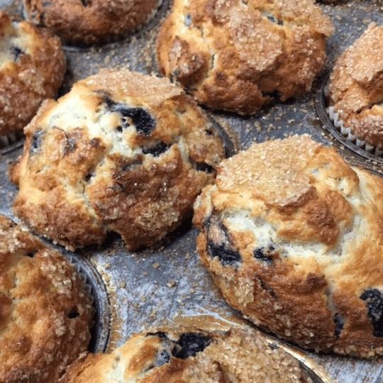 Baked Blueberry Muffin