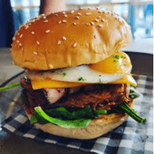 Protein Bison Burger