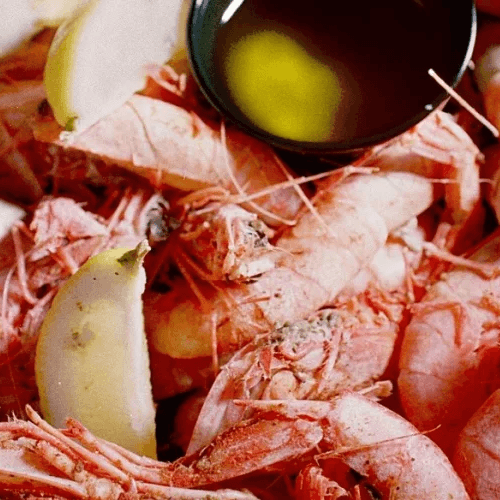 Royal Reds Shrimp