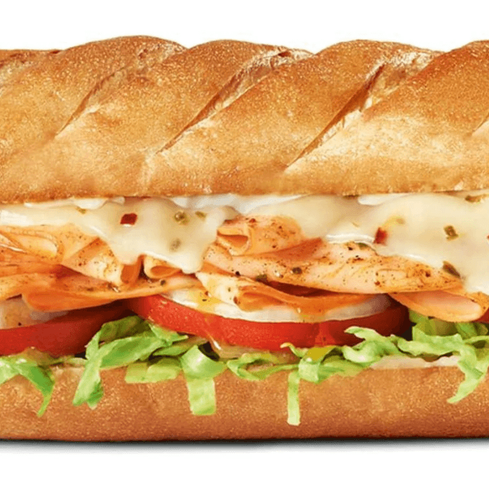Turkey Submarine