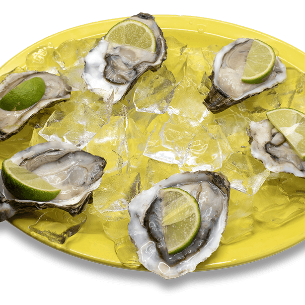 Delicious Oysters* 1 dozen.