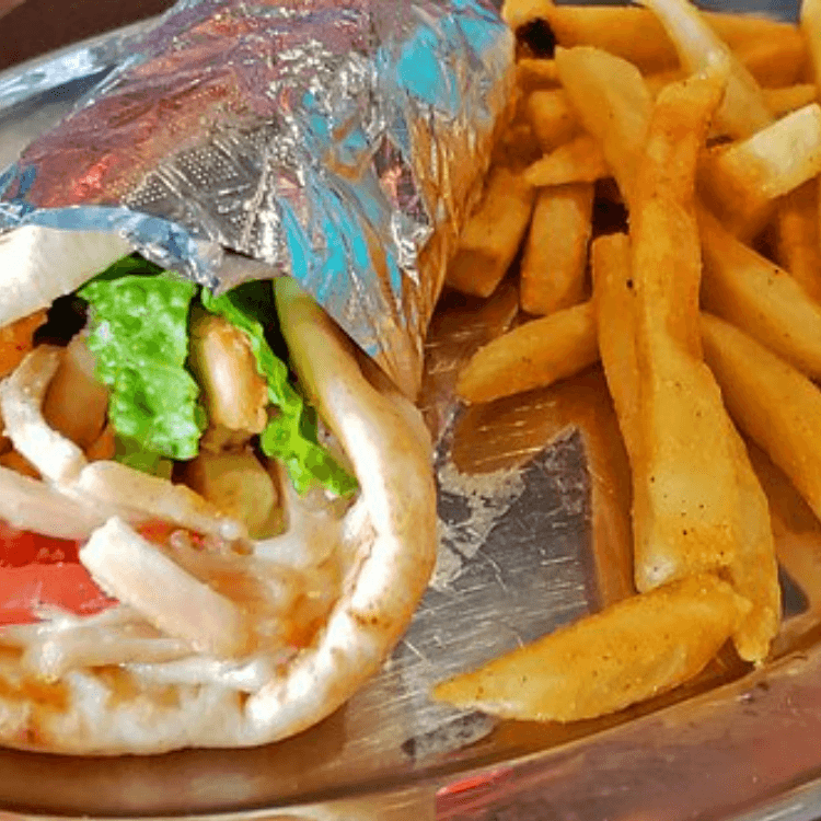 GYRO WRAP W/FRIES.