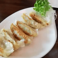 Fried Chicken Dumplings 