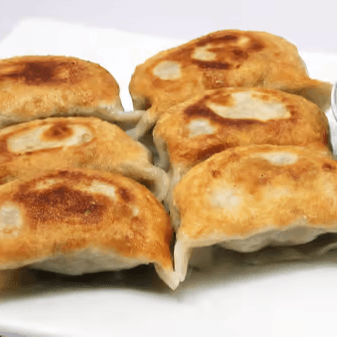 Pork Potstickers 猪肉锅贴.