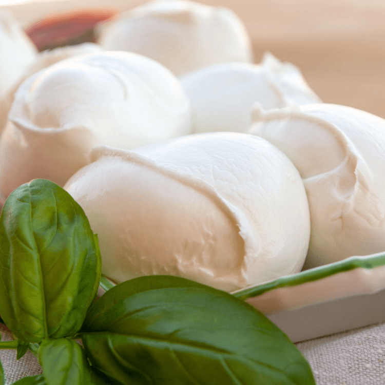 Mozzarella Cheese.