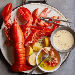 Lobster