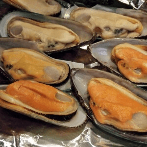 Mussels