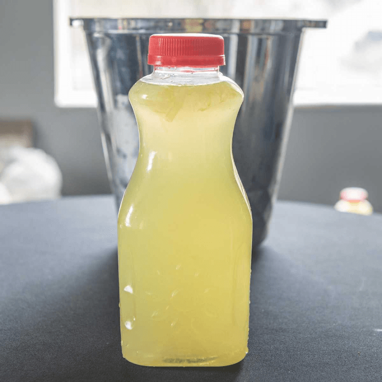 Fresh Squeezed Lemonade Sensation