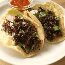 Chicharrones Tacos