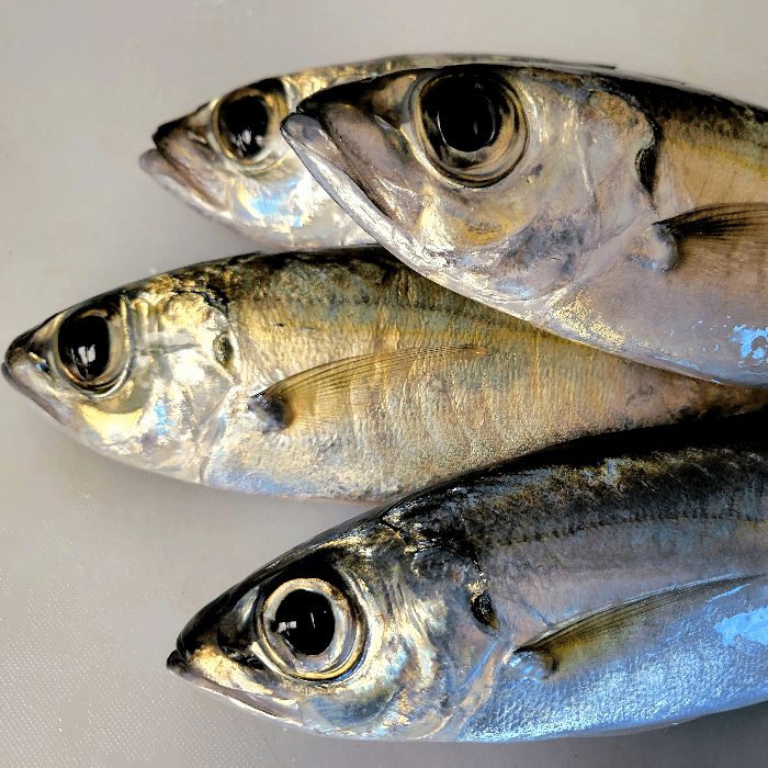 Daily Fried Fish Plate: Akule