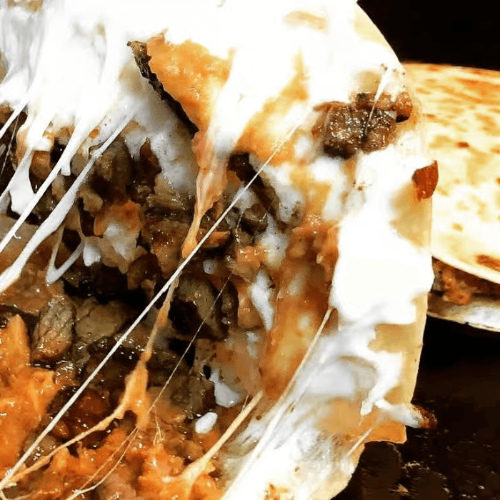 Gringa Quesadilla