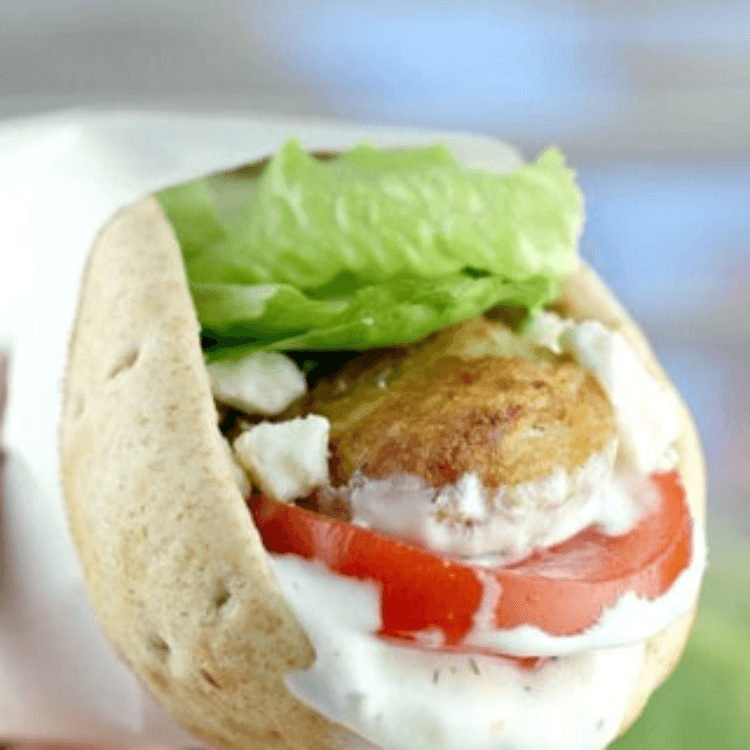 Fish Gyro