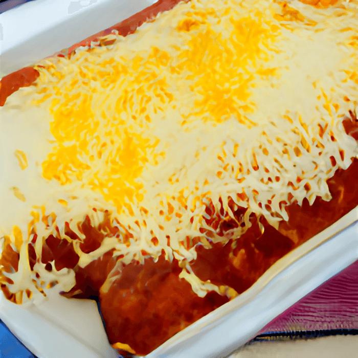 Two Cheese Enchiladas