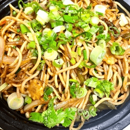 Hakka Noodles with Protein