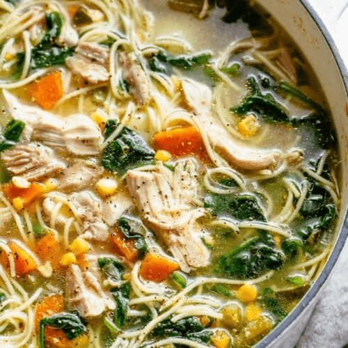 Chicken with Vegetable Noodles Soup