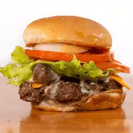 Single Gyro Burger