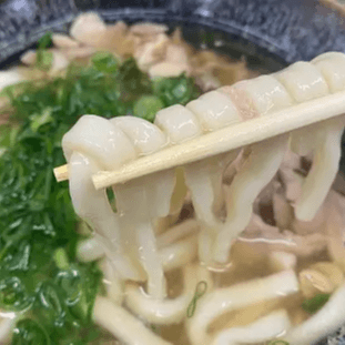 Vegan Udon Soup Bowl