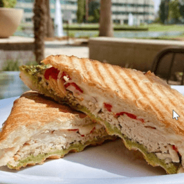 Chicken Pesto Panini