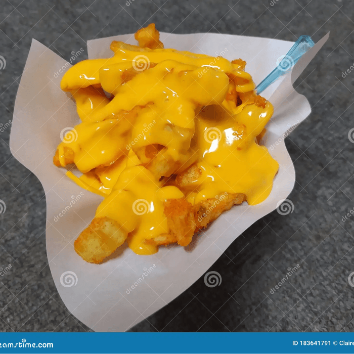 Cheese Fries