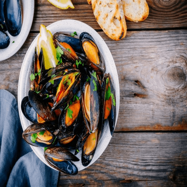 Black Mussel