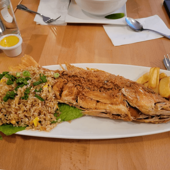 Red Snapper