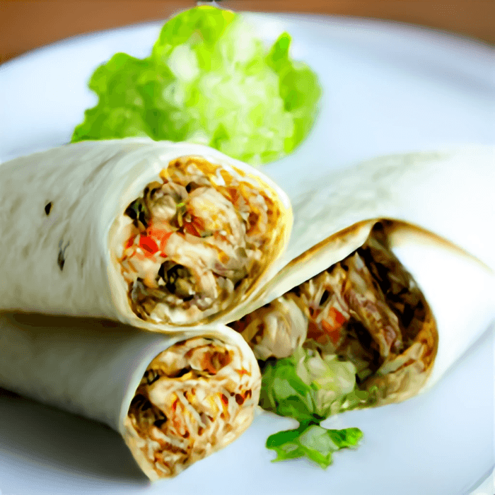 Shredded Pork Burrito