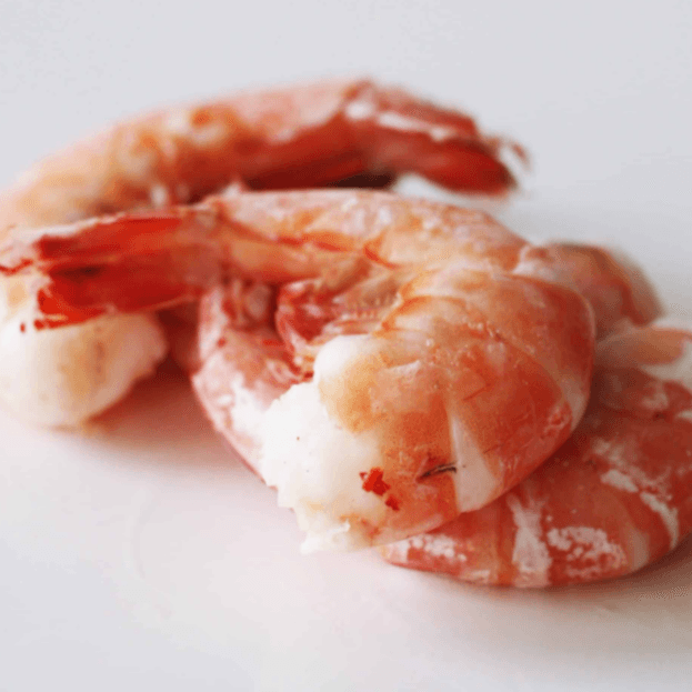 Shrimp