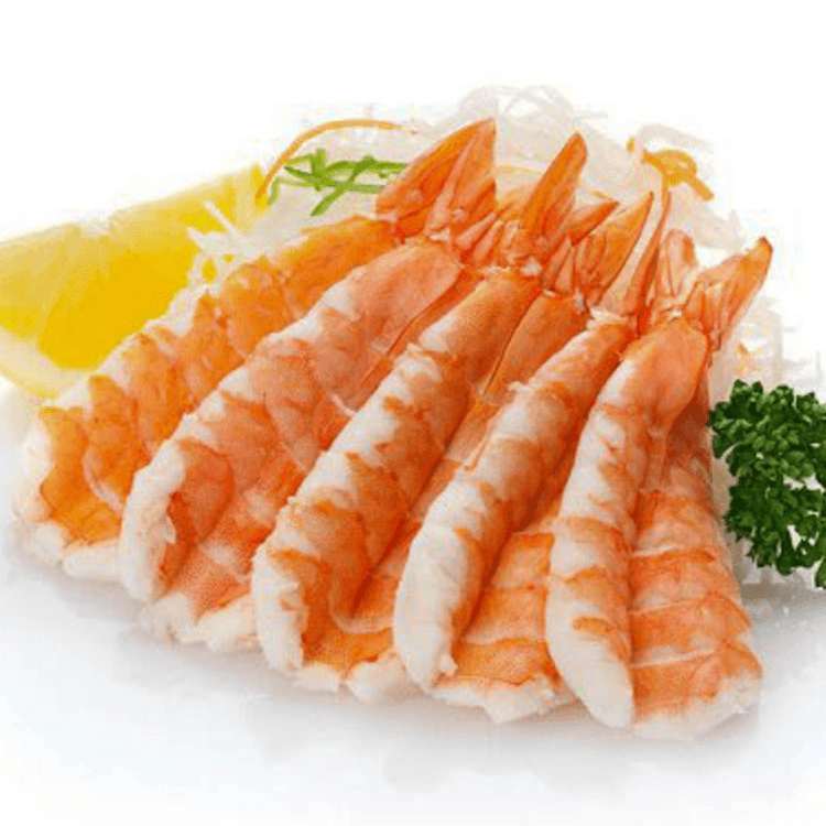 Ebi- Shrimp Sashimi