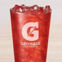 Gatorade Fruit Punch