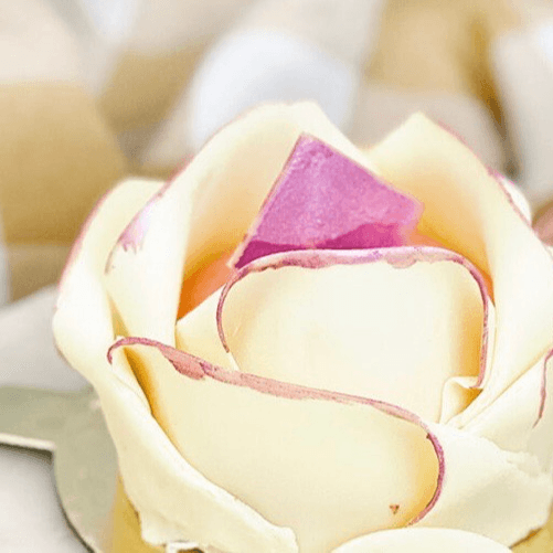 Vanilla Mousse Rose